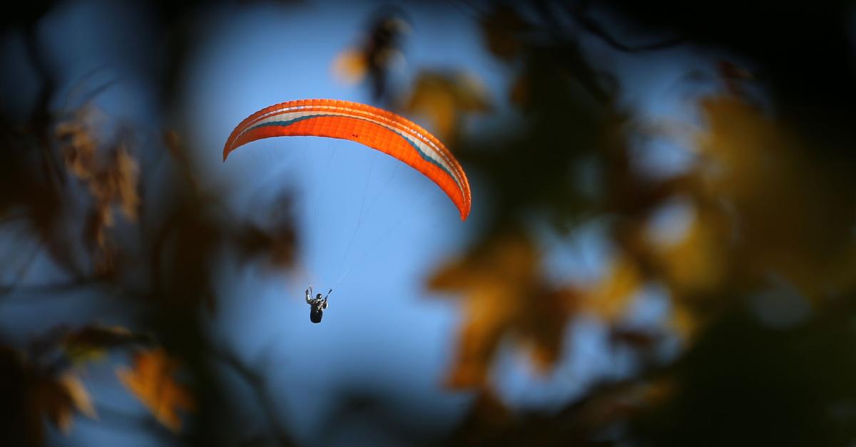 In-Baum-abgest-rzt-Feuerwehr-rettet-Gleitschirmflieger