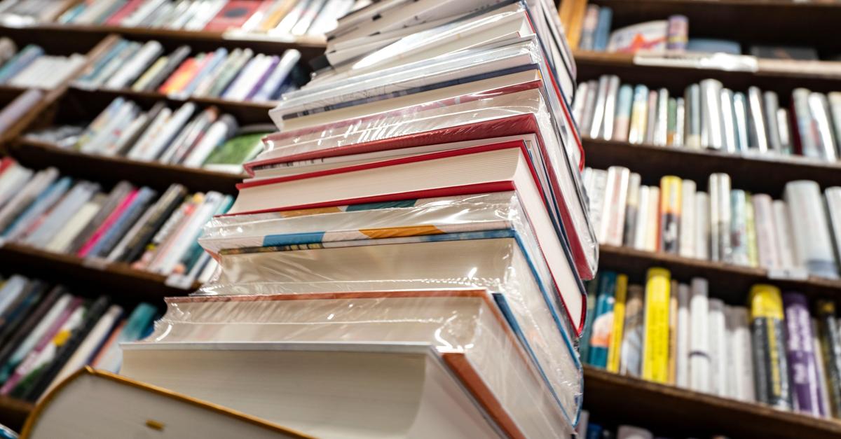 Die-Bibliothek-wird-hybrid-Was-Rheinland-Pf-lzer-ausleihen