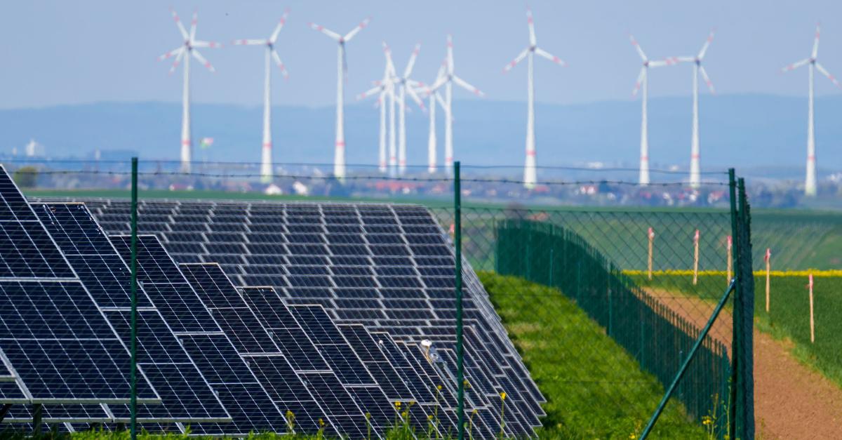 WWF sieht Nachholbedarf bei Heizenergie und Gebäudesanierung