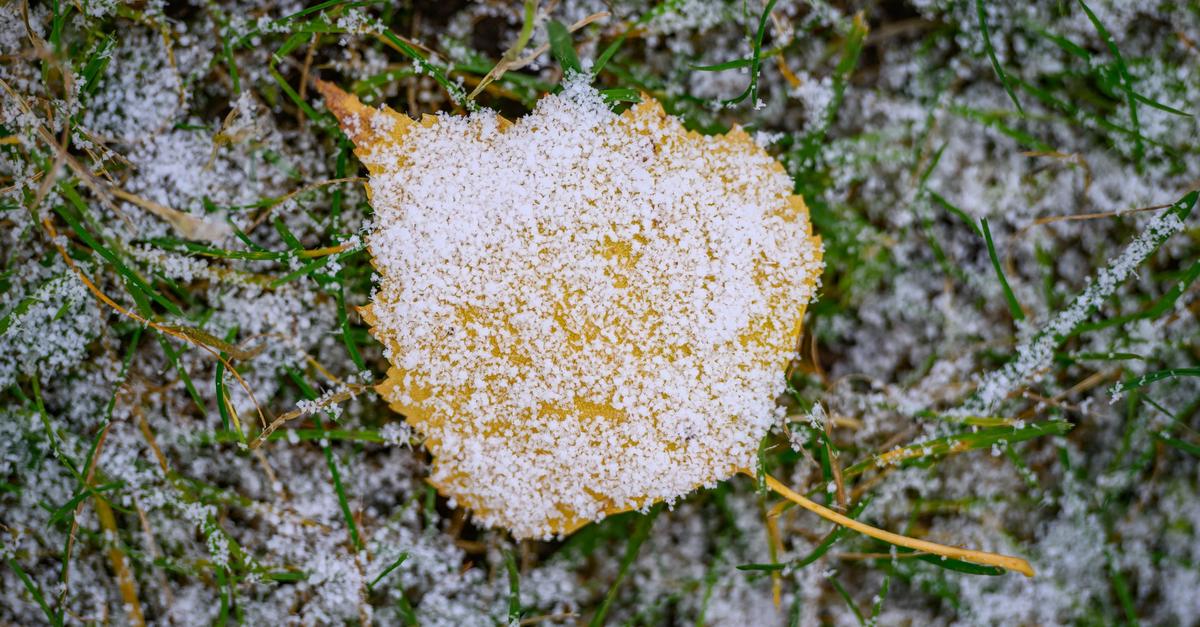 Schneeflocken an Heiligabend in Rheinland-Pfalz und Saarland
