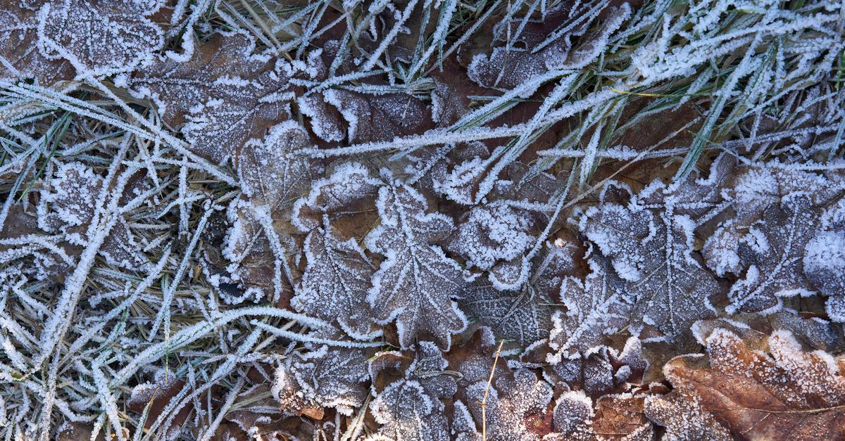 Frostige-N-chte-Sonne-am-Wochenende