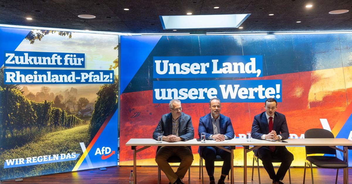 Parteichefs-Weidel-und-Chrupalla-beim-AfD-Wahlkampfauftakt