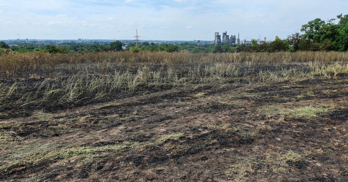 After fire: How Wiesbaden farmers and winegrowers are preparing for the ...