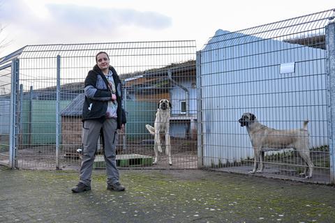 Nadine Bernardy ist Leiterin des Tierheims und zuständig für die Vermittlung und Pflege der Hunde und Katzen.  Foto: Volker Watschounek