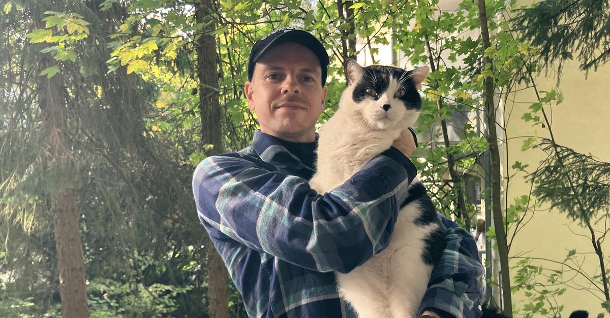Missing cat Meru found in Wiesbaden after nine days