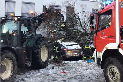 Unter der Schneelast sind eine Reihe von Bäumen umgestürzt. Zu Schaden kam niemand. Foto: Feuerwehr