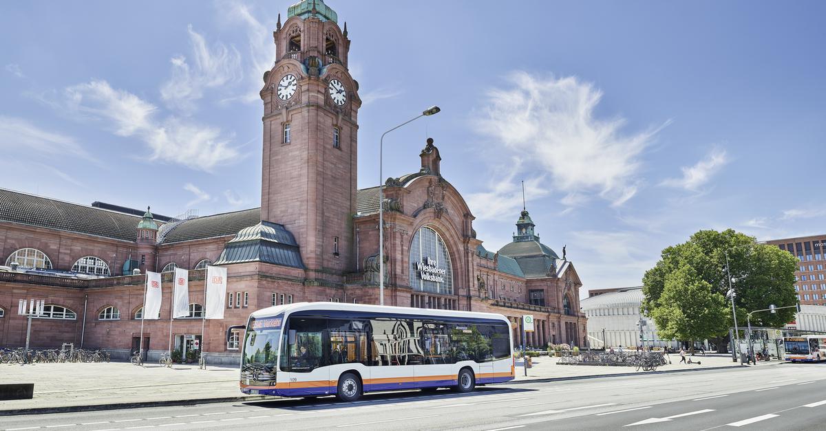 Bus-Shuttle aus Wiesbaden zum Rheingau Musik Festival