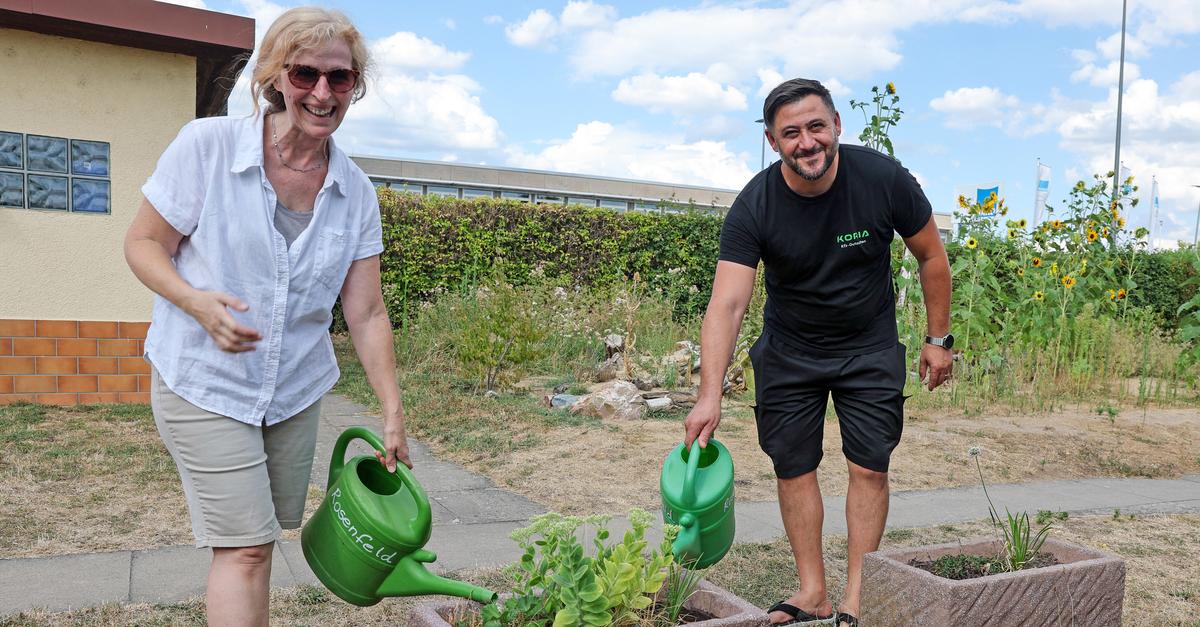 City of Wiesbaden offers tips for a green garden in the heat