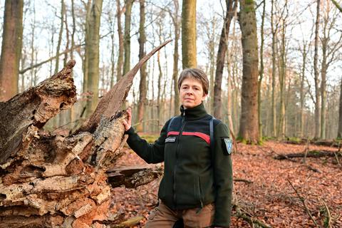 Forstamtsleiterin Sabine Rippelbeck ist seit 1992 im Amt. Der entwurzelte Baum neben ihr steht auf einer stillgelegten Waldfläche und dient nun als Biotop für Insekten, Pilze oder Tiere. Foto: Volker Watschounek
