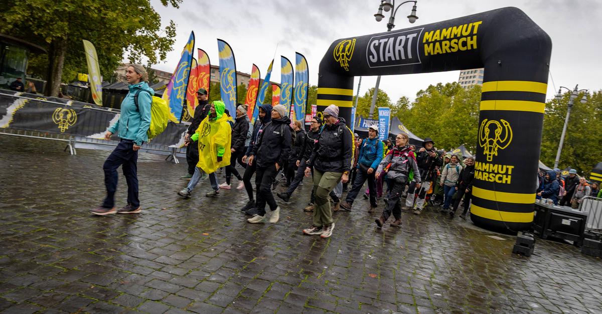 „Mammutmarsch“ in Wiesbaden: 4.000 Wandernde gehen bis an ihre Grenzen