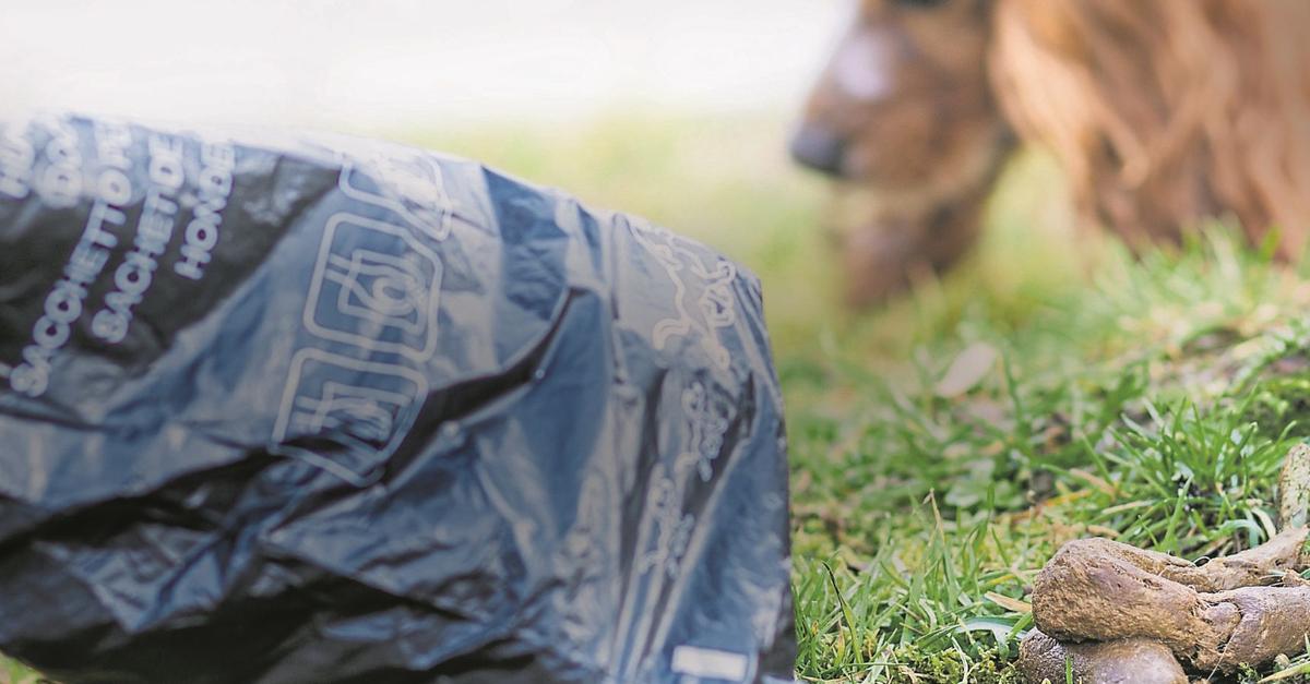 Mann in Kostheim nach Streit wegen Hundekot attackiert