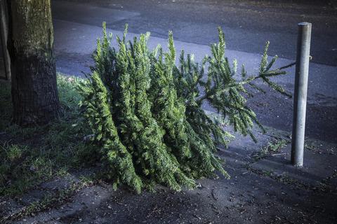 Ausgedienter Weihnachtsbaum am Straßenrand