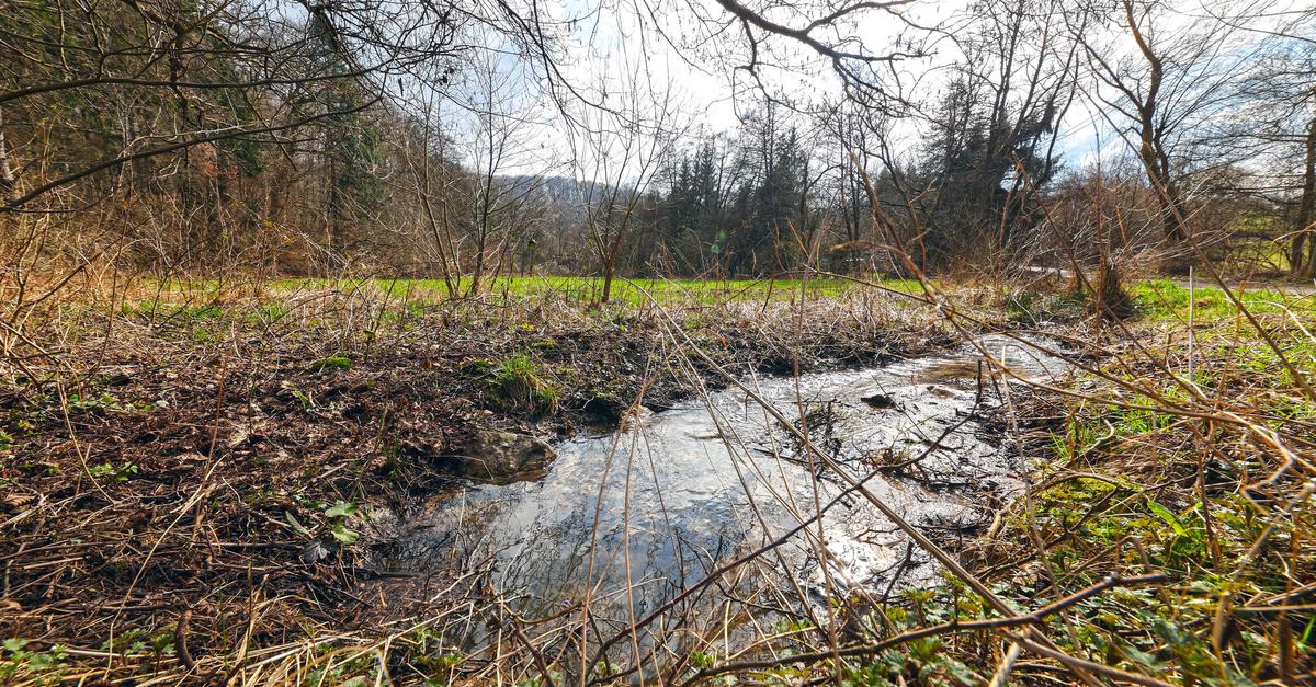 Hochwasserschutz für Rambach kommt voran - Ortsbeirat erleichtert