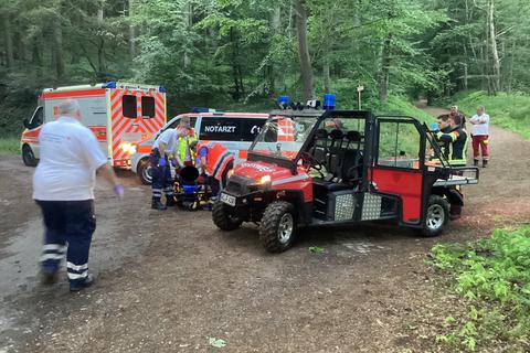 In der Nähe des Jagdschloss' Platte in Wiesbaden ist am Mittwoch ein Mountainbiker gestürzt. Bei der Rettung kam auch ein All-Terrain-Vehicle (ATV) zum Einsatz.