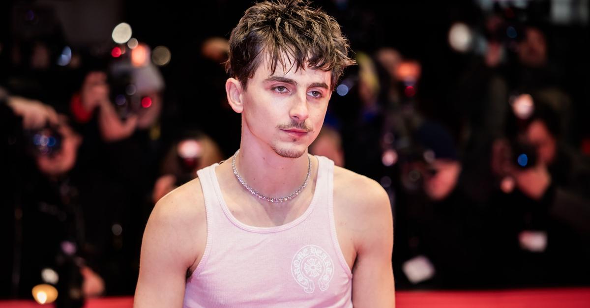 Ist Timothée Chalamet der neue Leonardo DiCaprio?