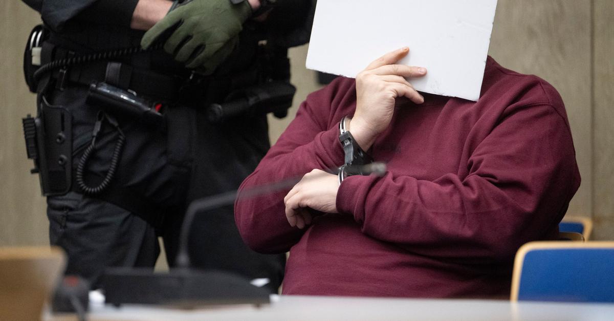 Mannheim rampage driver committed to psychiatric hospital