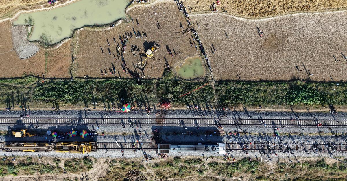 Sieben Elefanten sterben in Indien bei Kollision mit Zug