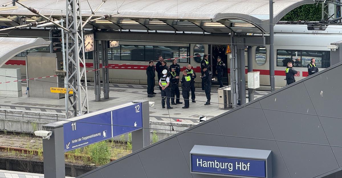 Prozess um Messerangriff im Hamburger Hauptbahnhof begonnen