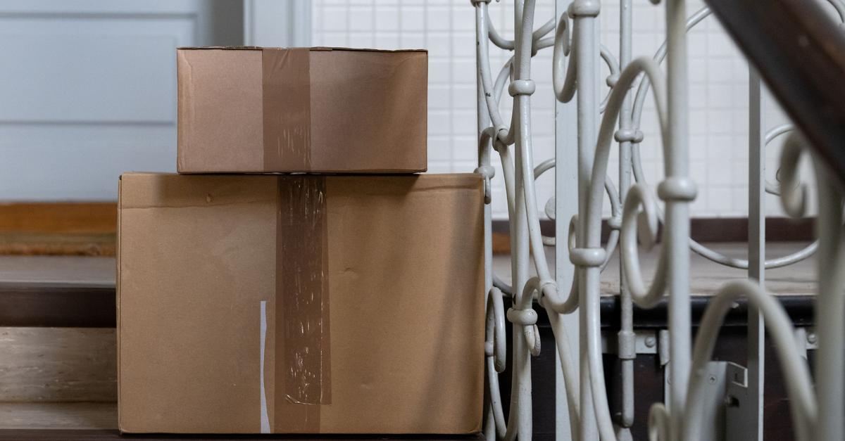 Frau gibt versehentlich Katze im Paket auf