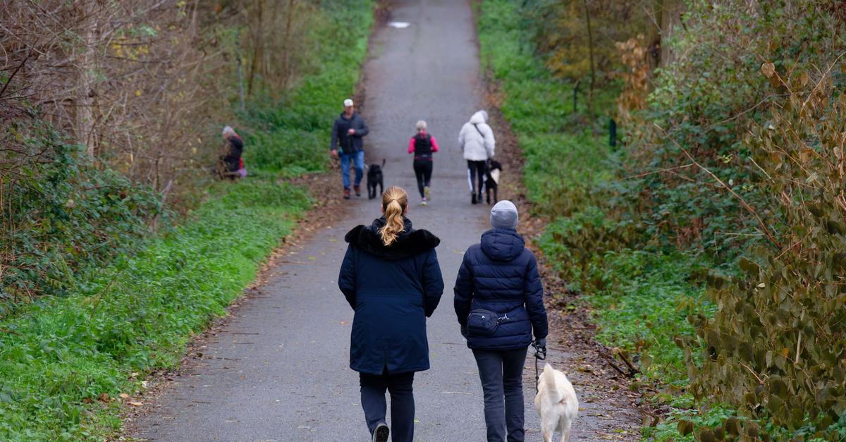 Mildes-Wetter-zum-meteorologischen-Winteranfang