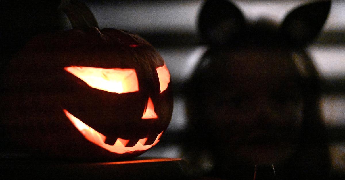 Halloween-Bilanz: Feuerwerk und nagelgespickte Schokolade