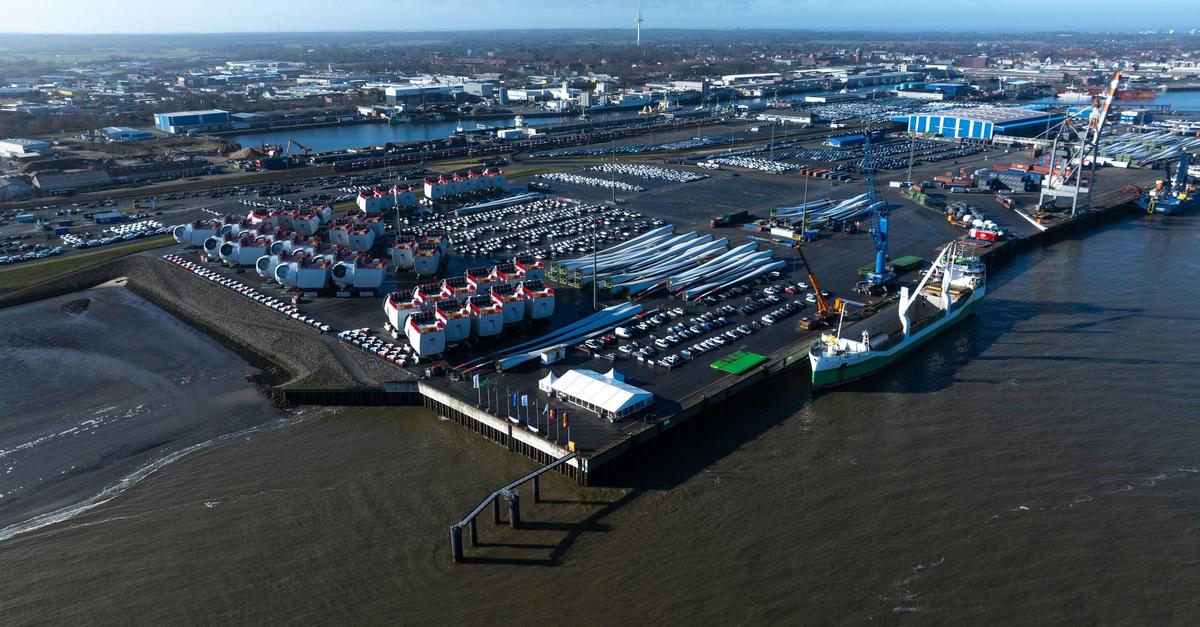 Verendeter Zwergwal aus Hafen in Cuxhaven geborgen