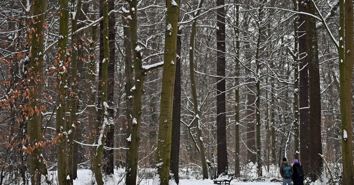 Schnee-Regen-und-dann-gebietsweise-etwas-Sonne