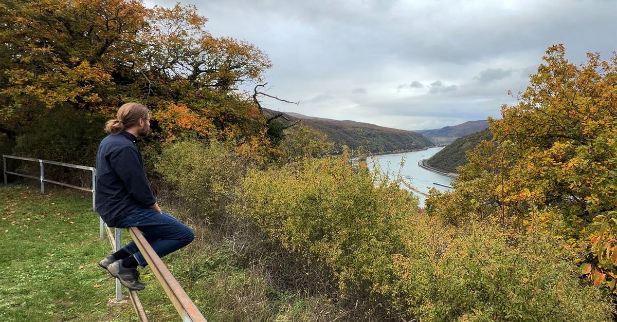 Mehr Männer suchen sich Hilfe bei häuslicher Gewalt