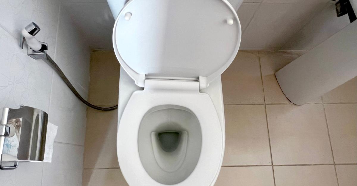 Donnerbalken und Luxus-Klo: Die Toilette im Wandel der Zeit