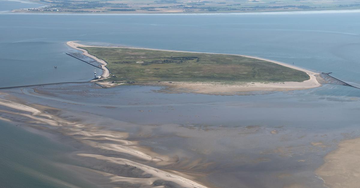 Toter-Wal-auf-unbewohnter-Nordseeinsel-entdeckt