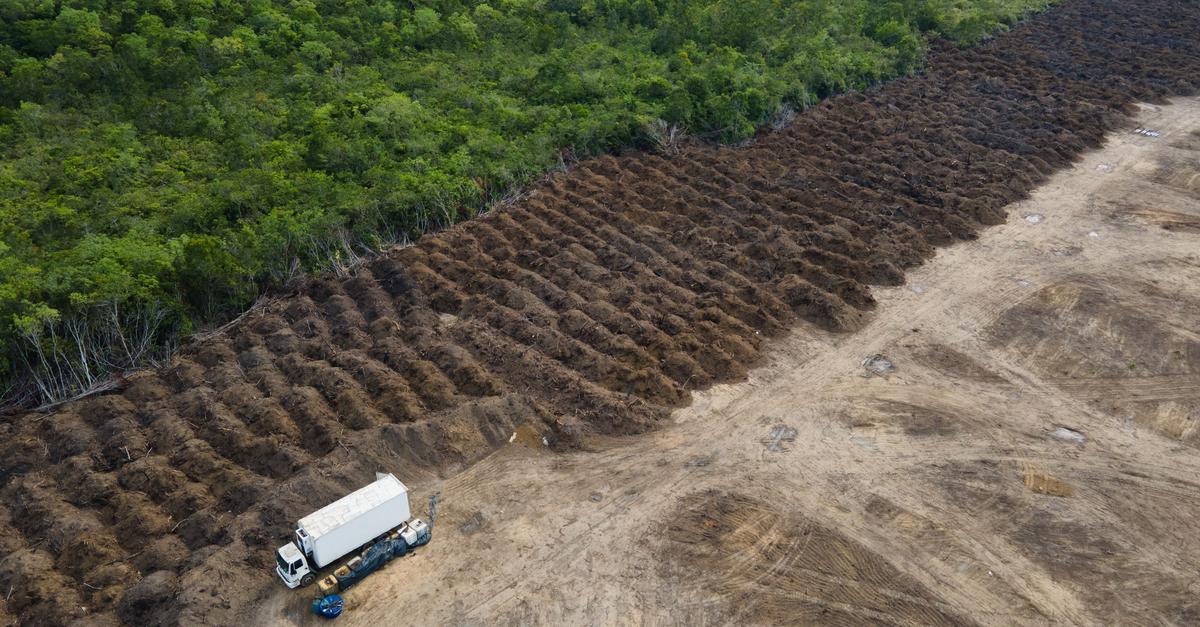 Amazonas-verliert-in-40-Jahren-Fl-che-gr-er-als-Spanien