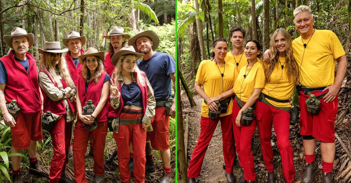 Einzug-in-Dschungelcamp-Nicht-jeder-mag-den-Bettnachbarn