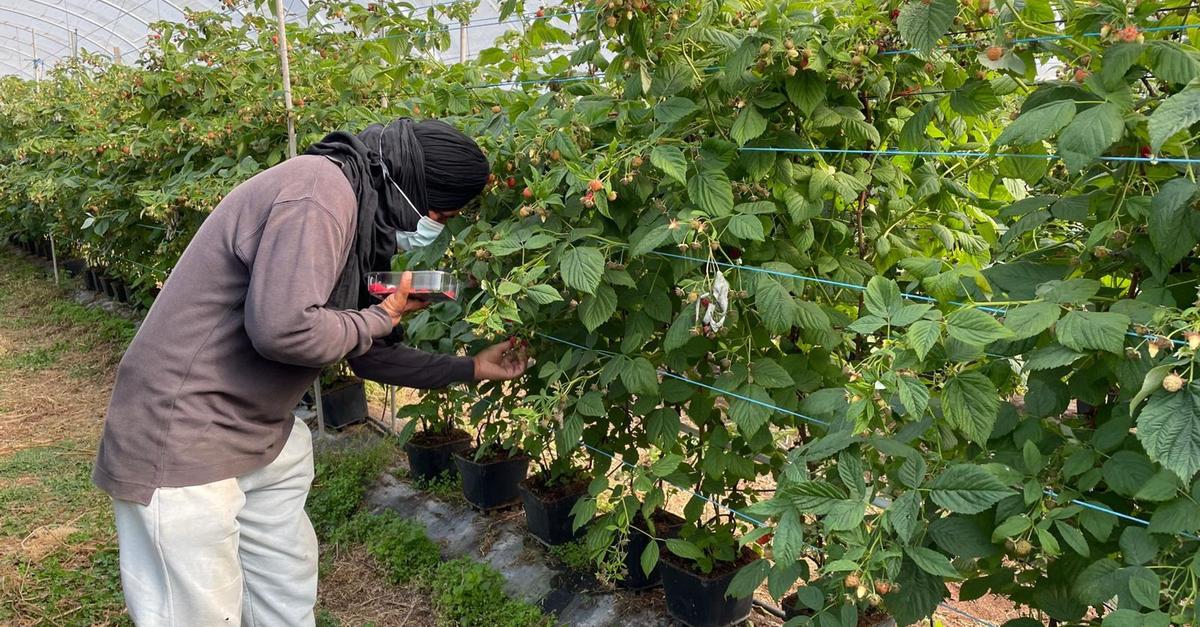 Menschenhandel in Portugal: Elf Polizisten festgenommen
