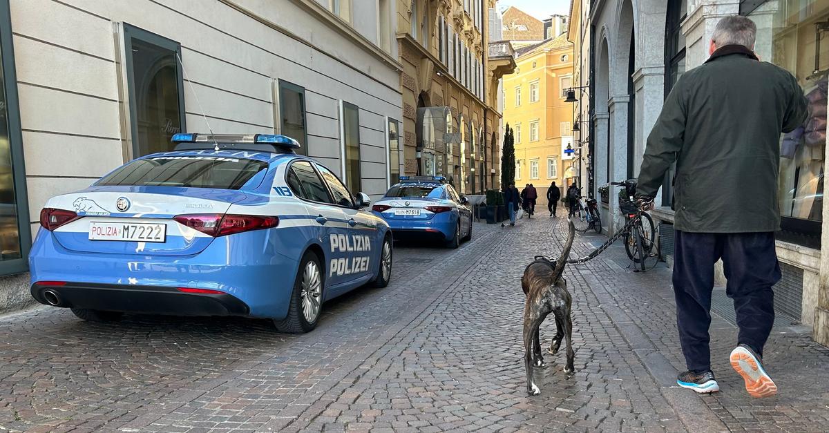 Južna Tirolska umaknila načrte za uvedbo turistične takse za pse