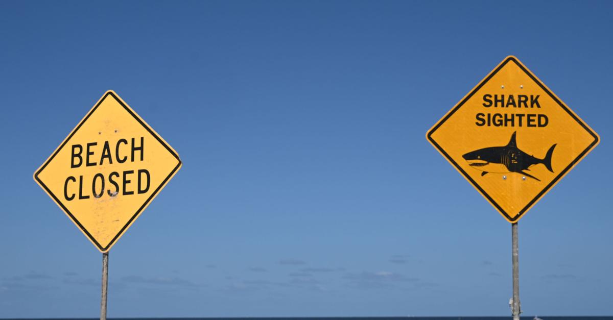 Schweizerin bei Haiattacke in Australien getötet