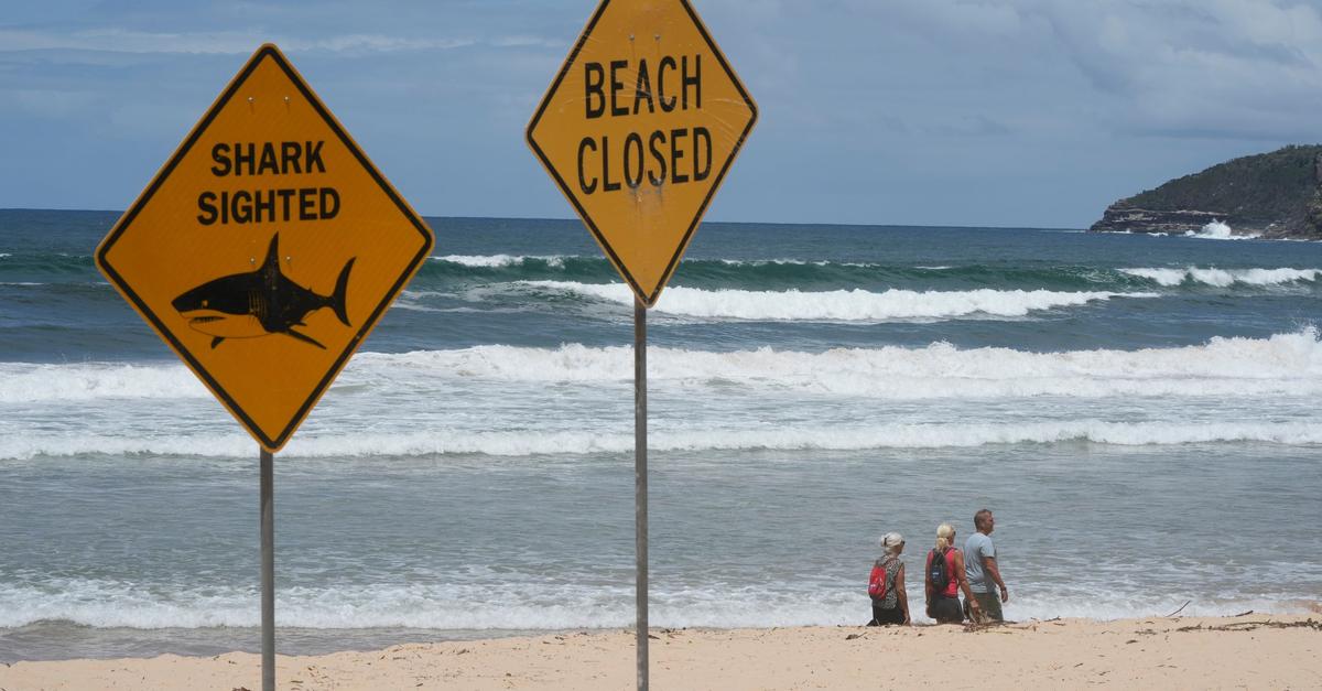 Zw-lfj-hriger-stirbt-Tage-nach-Haiattacke-in-Australien