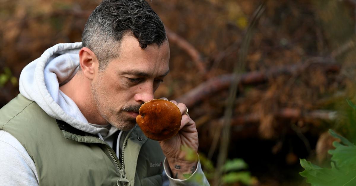 Trendhobby Pilzesammeln: Der Wald als „bullshitfreie Zone“