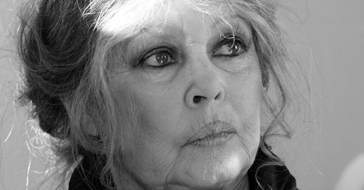 Von-der-Filmlegende-zur-Tiersch-tzerin-Brigitte-Bardot-tot