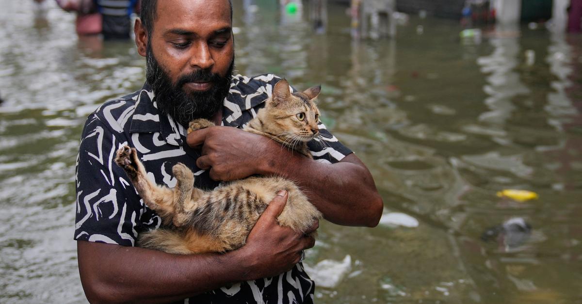 Mindestens-130-Tote-nach-Zyklon-auf-Sri-Lanka