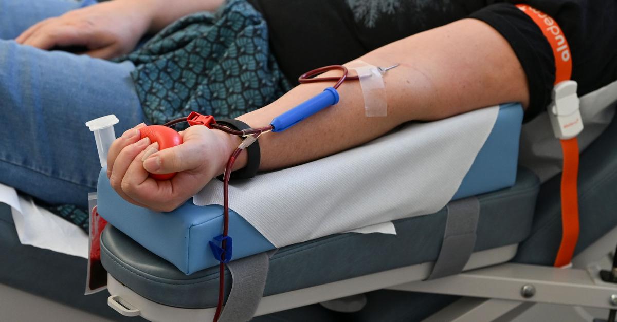 Gr-nen-Experte-f-r-flexiblere-Organisation-von-Blutspenden