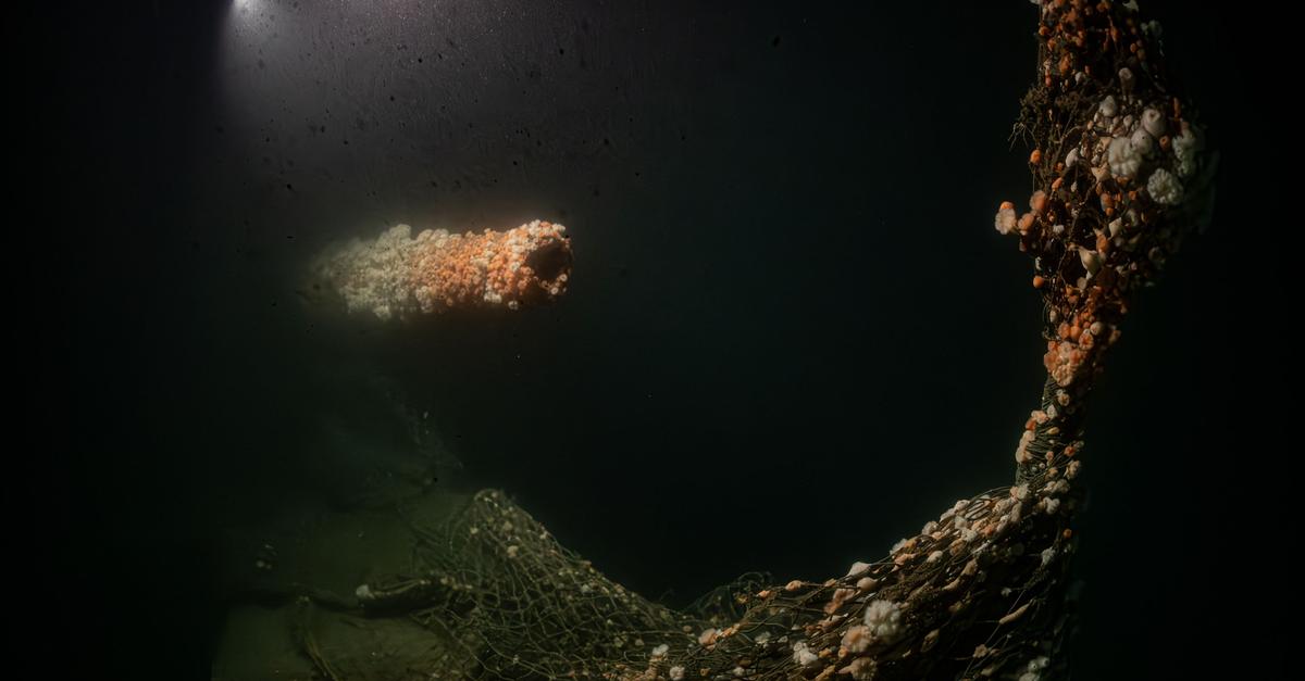 Von deutschem U-Boot versenkt: Forscher tauchen zu Wrack