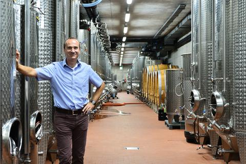 Dieter Greiner, Chef der hessischen Staatsweingüter, im Weinkeller mit Stahltanks und Holzfässern.  Foto: DigiAteI/Heibel
