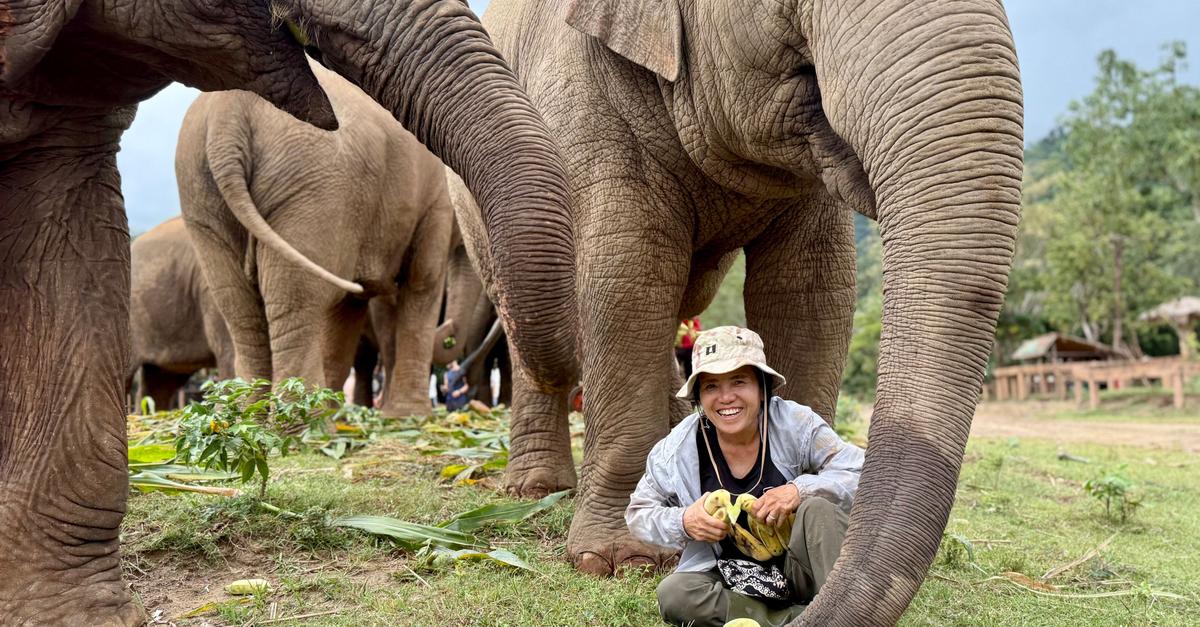 Die-Elefantenfl-sterin-von-Chiang-Mai