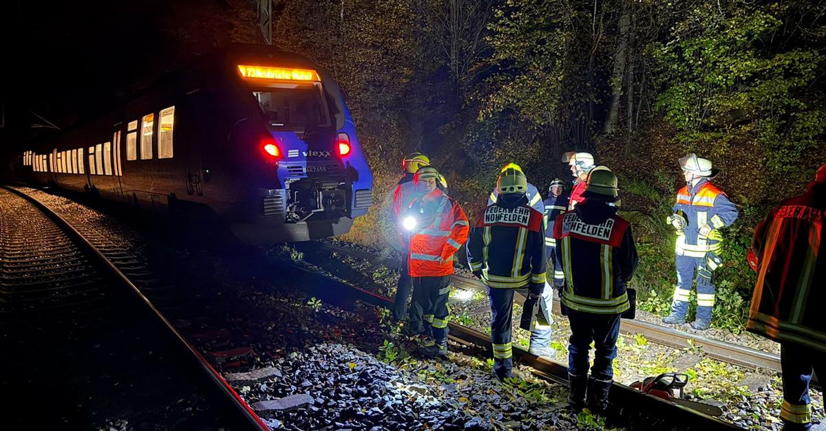 Sturmtief über Deutschland – Bäume stürzen um