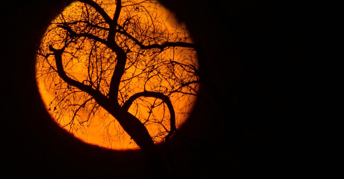 Letzter-Vollmond-des-Jahres-Mythen-und-Fakten