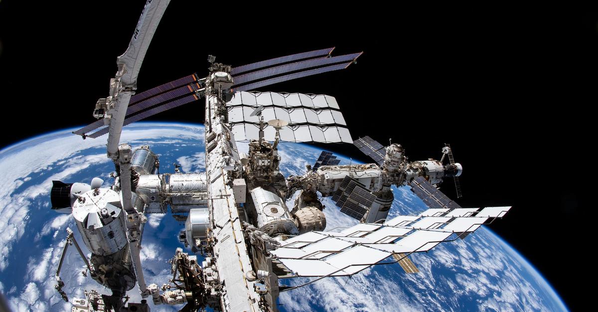 Tiere-vom-All-aus-im-Blick-Projekt-Icarus-startet-neu