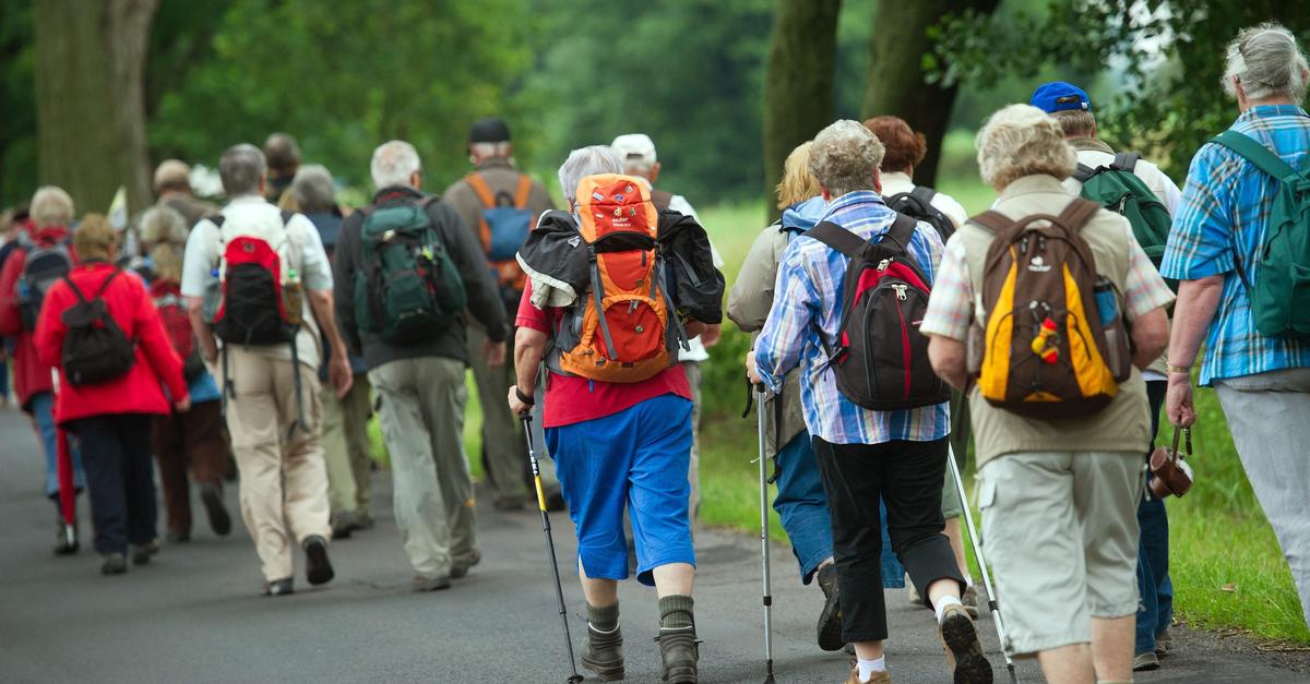 Körperliche Aktivität kann Alzheimer-Ausprägung verlangsamen