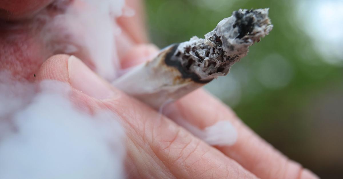 Študija kaže na porast uživanja konoplje v Nemčiji po delni legalizaciji