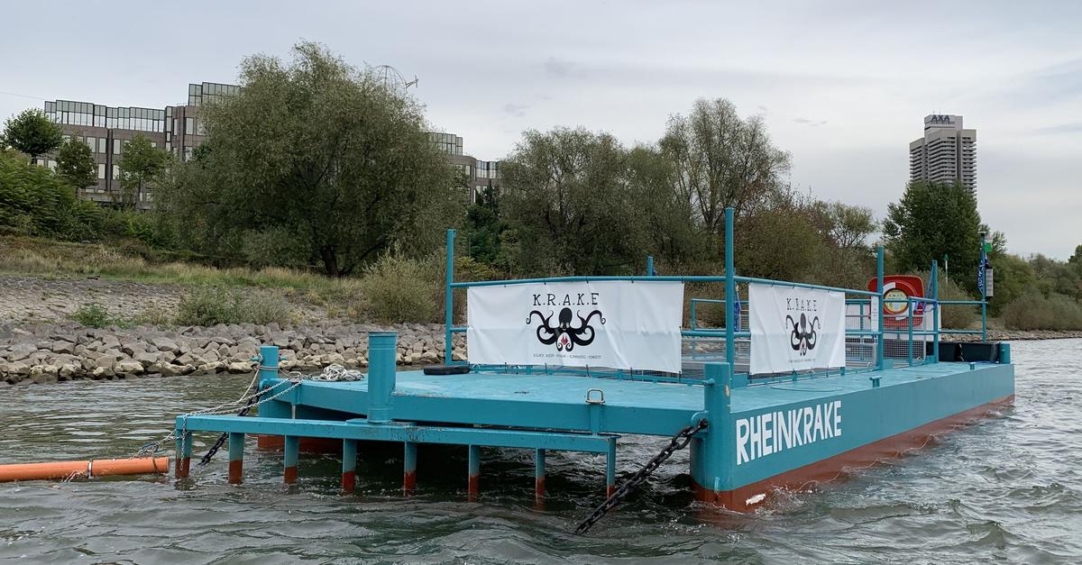 Untersuchung-Im-Rhein-treibt-viel-mehr-M-ll-als-gedacht