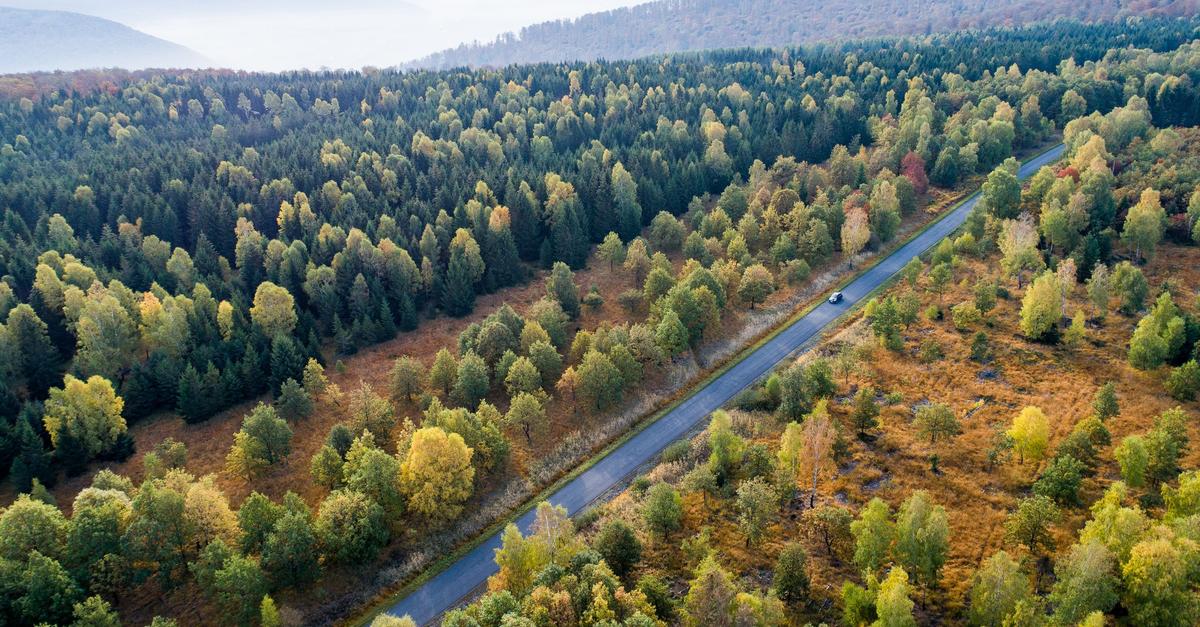 Forschungsbericht: Ohne CO2-Entnahme keine Klimaneutralität